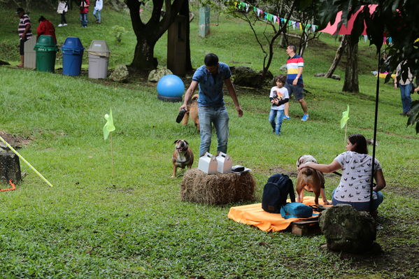 Día de la Familia EPM 2017
Día de la Familia EPM 2017
Fecha: Julio 15 de 2017
Para descargar esta fotografía en alta resolución, haga clic sobre la imagen hasta que la misma se despliegue en la pantalla completa; luego dé clic derecho y elija la opción "guardar imagen como". 
En caso de publicación por cualquier medio, solicitamos acompañarla del crédito: "Foto EPM"
Palabras clave: Día Familia EPM 2017