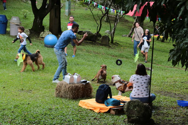 Día de la Familia EPM 2017
Día de la Familia EPM 2017
Fecha: Julio 15 de 2017
Para descargar esta fotografía en alta resolución, haga clic sobre la imagen hasta que la misma se despliegue en la pantalla completa; luego dé clic derecho y elija la opción "guardar imagen como". 
En caso de publicación por cualquier medio, solicitamos acompañarla del crédito: "Foto EPM"
Palabras clave: Día Familia EPM 2017