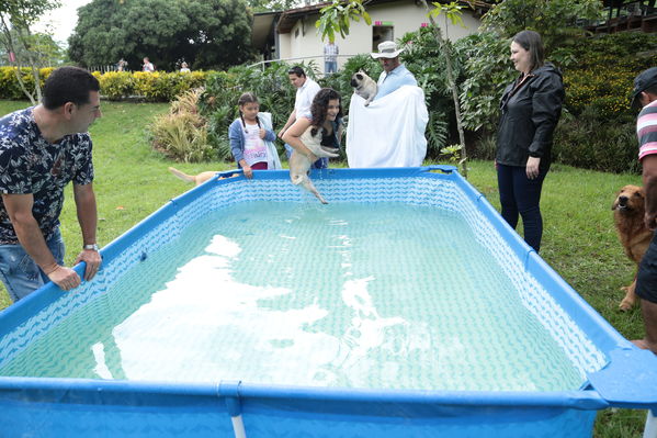 Día de la Familia EPM 2017
Día de la Familia EPM 2017
Fecha: Julio 15 de 2017
Para descargar esta fotografía en alta resolución, haga clic sobre la imagen hasta que la misma se despliegue en la pantalla completa; luego dé clic derecho y elija la opción "guardar imagen como". 
En caso de publicación por cualquier medio, solicitamos acompañarla del crédito: "Foto EPM"
Palabras clave: Día Familia EPM 2017