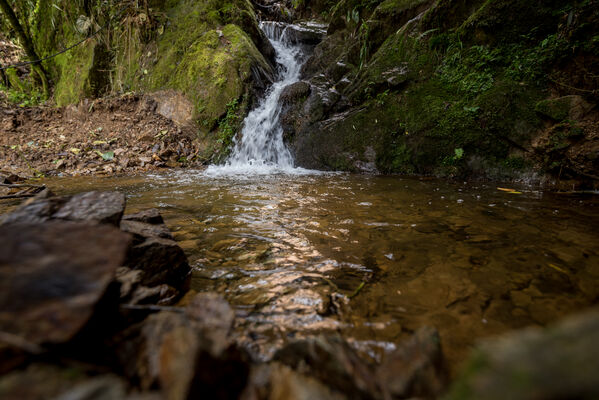 Cuenca Verde
Para descargar esta fotografía en alta resolución, haga clic sobre la imagen hasta que la misma se despliegue en la pantalla completa; luego dé clic derecho y elija la opción "guardar imagen como". 
En caso de publicación por cualquier medio, solicitamos acompañarla del crédito: "Foto Argos"
Palabras clave: Cuenca Verde