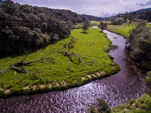 Cuenca Verde
Para descargar esta fotografía en alta resolución, haga clic sobre la imagen hasta que la misma se despliegue en la pantalla completa; luego dé clic derecho y elija la opción "guardar imagen como". 
En caso de publicación por cualquier medio, solicitamos acompañarla del crédito: "Foto Argos"
Palabras clave: Cuenca Verde