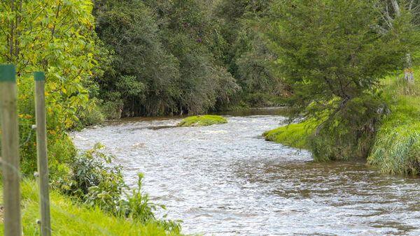 Cuenca Verde
Para descargar esta fotografía en alta resolución, haga clic sobre la imagen hasta que la misma se despliegue en la pantalla completa; luego dé clic derecho y elija la opción "guardar imagen como". 
En caso de publicación por cualquier medio, solicitamos acompañarla del crédito: "Foto EPM"
Palabras clave: Cuenca Verde