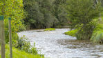 _DSC3591.JPG