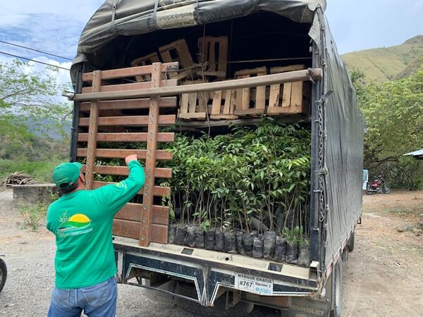 Restauración forestal proyecto hidroeléctrico Ituango
Restauración forestal proyecto hidroeléctrico Ituango.
Fecha: 6 Julio 2020.
Para descargar esta fotografía en alta resolución, haga clic sobre la imagen hasta que la misma se despliegue en la pantalla completa; luego dé clic derecho y elija la opción "guardar imagen como". 
En caso de publicación por cualquier medio, solicitamos acompañarla del crédito: "Foto EPM"
Palabras clave: Restauración forestal proyecto hidroeléctrico Ituango