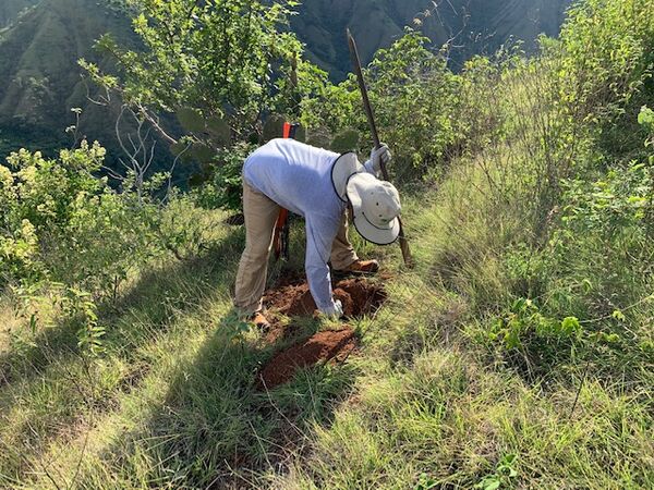 Restauración forestal proyecto hidroeléctrico Ituango
Restauración forestal proyecto hidroeléctrico Ituango.
Fecha: 6 Julio 2020.
Para descargar esta fotografía en alta resolución, haga clic sobre la imagen hasta que la misma se despliegue en la pantalla completa; luego dé clic derecho y elija la opción "guardar imagen como". 
En caso de publicación por cualquier medio, solicitamos acompañarla del crédito: "Foto EPM"
Palabras clave: Restauración forestal proyecto hidroeléctrico Ituango