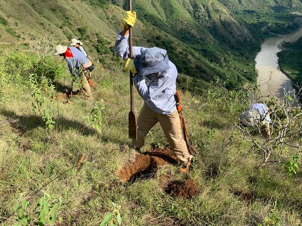 Restauración forestal proyecto hidroeléctrico Ituango
Restauración forestal proyecto hidroeléctrico Ituango.
Fecha: 6 Julio 2020.
Para descargar esta fotografía en alta resolución, haga clic sobre la imagen hasta que la misma se despliegue en la pantalla completa; luego dé clic derecho y elija la opción "guardar imagen como". 
En caso de publicación por cualquier medio, solicitamos acompañarla del crédito: "Foto EPM"
Palabras clave: Restauración forestal proyecto hidroeléctrico Ituango