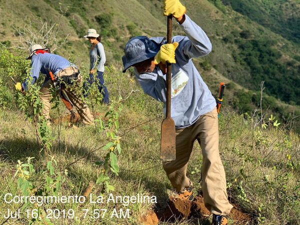 Restauración forestal proyecto hidroeléctrico Ituango
Restauración forestal proyecto hidroeléctrico Ituango.
Fecha: 6 Julio 2020.
Para descargar esta fotografía en alta resolución, haga clic sobre la imagen hasta que la misma se despliegue en la pantalla completa; luego dé clic derecho y elija la opción "guardar imagen como". 
En caso de publicación por cualquier medio, solicitamos acompañarla del crédito: "Foto EPM"
Palabras clave: Restauración forestal proyecto hidroeléctrico Ituango