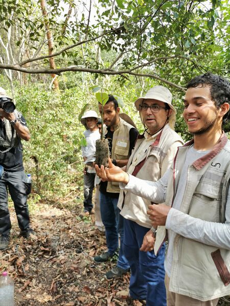 Restauración forestal proyecto hidroeléctrico Ituango
Restauración forestal proyecto hidroeléctrico Ituango.
Fecha: 6 Julio 2020.
Para descargar esta fotografía en alta resolución, haga clic sobre la imagen hasta que la misma se despliegue en la pantalla completa; luego dé clic derecho y elija la opción "guardar imagen como". 
En caso de publicación por cualquier medio, solicitamos acompañarla del crédito: "Foto EPM"
Palabras clave: Restauración forestal proyecto hidroeléctrico Ituango