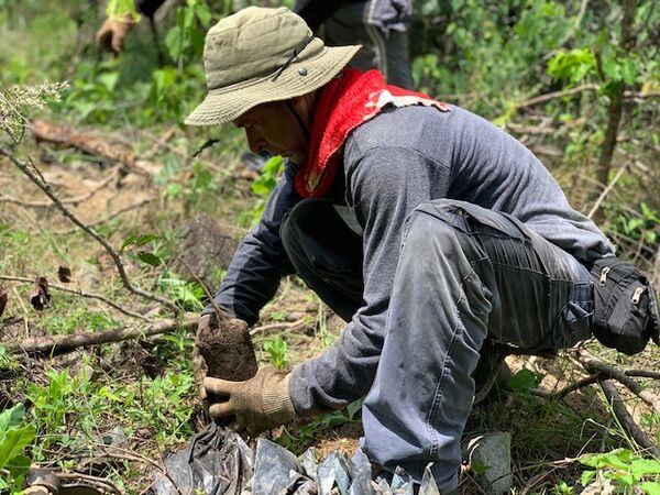 Restauración forestal proyecto hidroeléctrico Ituango
Restauración forestal proyecto hidroeléctrico Ituango.
Fecha: 6 Julio 2020.
Para descargar esta fotografía en alta resolución, haga clic sobre la imagen hasta que la misma se despliegue en la pantalla completa; luego dé clic derecho y elija la opción "guardar imagen como". 
En caso de publicación por cualquier medio, solicitamos acompañarla del crédito: "Foto EPM"
Palabras clave: Restauración forestal proyecto hidroeléctrico Ituango