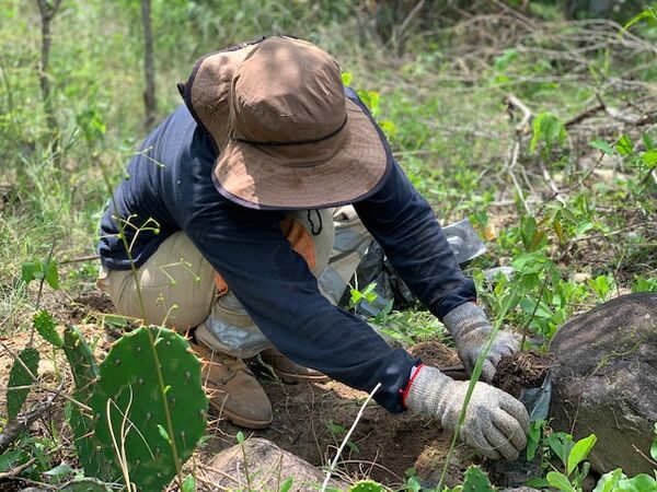 Restauración forestal proyecto hidroeléctrico Ituango
Restauración forestal proyecto hidroeléctrico Ituango.
Fecha: 6 Julio 2020.
Para descargar esta fotografía en alta resolución, haga clic sobre la imagen hasta que la misma se despliegue en la pantalla completa; luego dé clic derecho y elija la opción "guardar imagen como". 
En caso de publicación por cualquier medio, solicitamos acompañarla del crédito: "Foto EPM"
Palabras clave: Restauración forestal proyecto hidroeléctrico Ituango