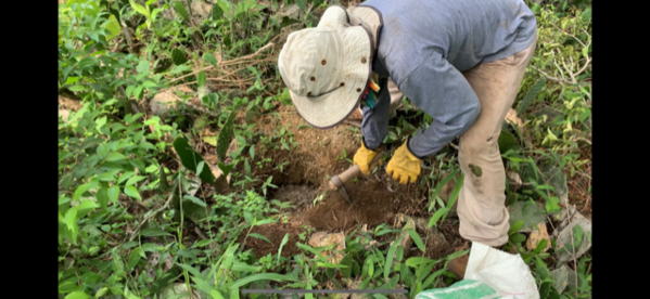 Restauración forestal proyecto hidroeléctrico Ituango
Restauración forestal proyecto hidroeléctrico Ituango.
Fecha: 6 Julio 2020.
Para descargar esta fotografía en alta resolución, haga clic sobre la imagen hasta que la misma se despliegue en la pantalla completa; luego dé clic derecho y elija la opción "guardar imagen como". 
En caso de publicación por cualquier medio, solicitamos acompañarla del crédito: "Foto EPM"
Palabras clave: Restauración forestal proyecto hidroeléctrico Ituango
