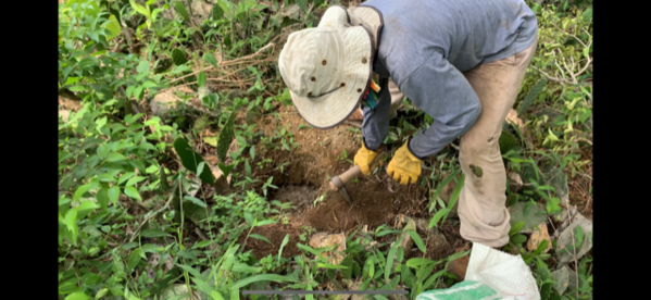 Restauración forestal proyecto hidroeléctrico Ituango
Restauración forestal proyecto hidroeléctrico Ituango.
Fecha: 6 Julio 2020.
Para descargar esta fotografía en alta resolución, haga clic sobre la imagen hasta que la misma se despliegue en la pantalla completa; luego dé clic derecho y elija la opción "guardar imagen como". 
En caso de publicación por cualquier medio, solicitamos acompañarla del crédito: "Foto EPM"
Palabras clave: Restauración forestal proyecto hidroeléctrico Ituango