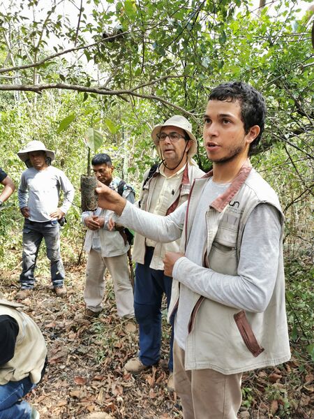 Restauración forestal proyecto hidroeléctrico Ituango
Restauración forestal proyecto hidroeléctrico Ituango.
Fecha: 6 Julio 2020.
Para descargar esta fotografía en alta resolución, haga clic sobre la imagen hasta que la misma se despliegue en la pantalla completa; luego dé clic derecho y elija la opción "guardar imagen como". 
En caso de publicación por cualquier medio, solicitamos acompañarla del crédito: "Foto EPM"
Palabras clave: Restauración forestal proyecto hidroeléctrico Ituango