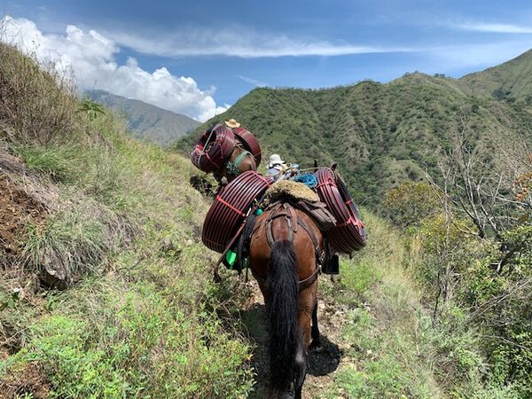 Restauración forestal proyecto hidroeléctrico Ituango
Restauración forestal proyecto hidroeléctrico Ituango.
Fecha: 6 Julio 2020.
Para descargar esta fotografía en alta resolución, haga clic sobre la imagen hasta que la misma se despliegue en la pantalla completa; luego dé clic derecho y elija la opción "guardar imagen como". 
En caso de publicación por cualquier medio, solicitamos acompañarla del crédito: "Foto EPM"
Palabras clave: Restauración forestal proyecto hidroeléctrico Ituango