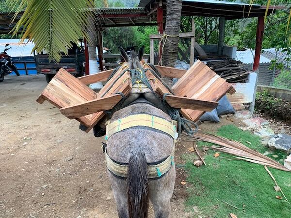 Restauración forestal proyecto hidroeléctrico Ituango
Restauración forestal proyecto hidroeléctrico Ituango.
Fecha: 6 Julio 2020.
Para descargar esta fotografía en alta resolución, haga clic sobre la imagen hasta que la misma se despliegue en la pantalla completa; luego dé clic derecho y elija la opción "guardar imagen como". 
En caso de publicación por cualquier medio, solicitamos acompañarla del crédito: "Foto EPM"

Palabras clave: Restauración forestal proyecto hidroeléctrico Ituango