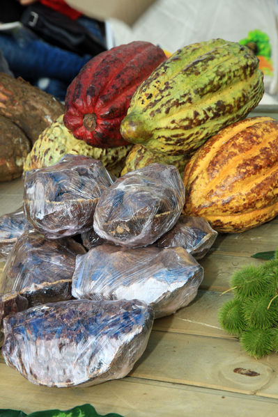 Feria Campesina “Frutos y expresiones de mi tierra”
Feria Campesina “Frutos y expresiones de mi tierra”
Fecha: Julio 5  de 2013. 
Para descargar esta fotografía en alta resolución, haga clic sobre la imagen hasta que la misma se despliegue en la pantalla completa; luego dé clic derecho y elija la opción "guardar imagen como". 
En caso de publicación por cualquier medio, solicitamos acompañarla del crédito: "Cortesía EPM".
Palabras clave: Feria Campesina Frutos expresiones tierra
