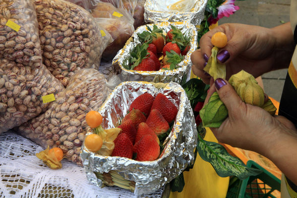 Feria Campesina “Frutos y expresiones de mi tierra”
Feria Campesina “Frutos y expresiones de mi tierra”
Fecha: Julio 5  de 2013. 
Para descargar esta fotografía en alta resolución, haga clic sobre la imagen hasta que la misma se despliegue en la pantalla completa; luego dé clic derecho y elija la opción "guardar imagen como". 
En caso de publicación por cualquier medio, solicitamos acompañarla del crédito: "Cortesía EPM".
Palabras clave: Feria Campesina Frutos expresiones tierra