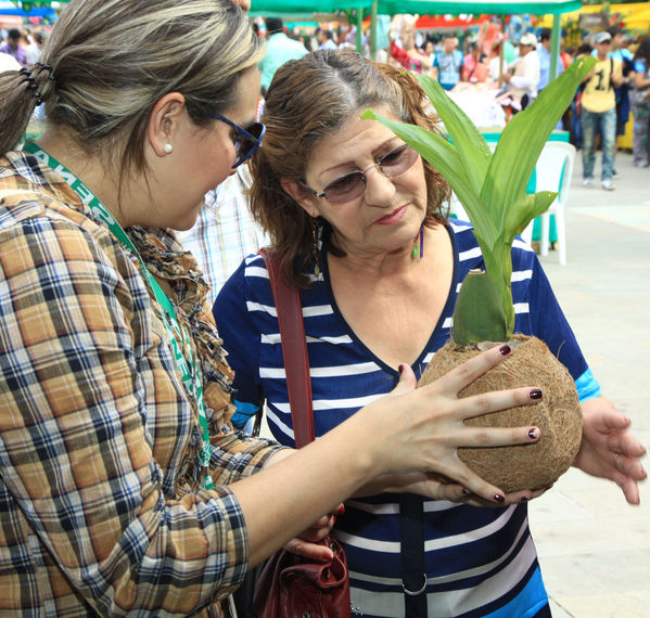 Feria Campesina “Frutos y expresiones de mi tierra”
Palabras clave: Feria Campesina Frutos expresiones tierra