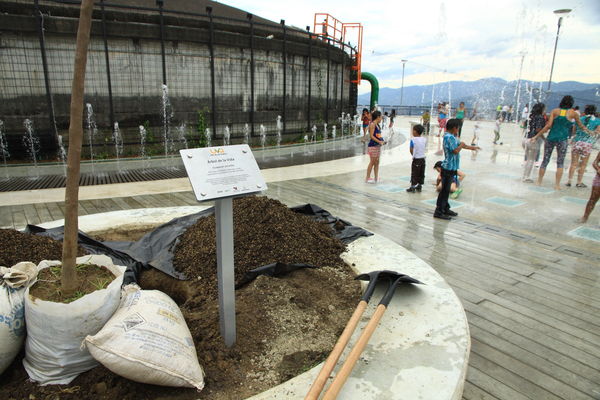 Siembra del árbol en las UVA Los Sueños y La Esperanza
Siembra del árbol en las UVA Los Sueños y La Esperanza
Fecha: Junio 20 de 2014
Para descargar esta fotografía en alta resolución, haga clic sobre la imagen hasta que la misma se despliegue en la pantalla completa; luego dé clic derecho y elija la opción "guardar imagen como". 
En caso de publicación por cualquier medio, solicitamos acompañarla del crédito: "Foto EPM"
Palabras clave: Siembra árbol UVA Sueños Esperanza