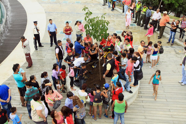 Siembra del árbol en las UVA Los Sueños y La Esperanza
Siembra del árbol en las UVA Los Sueños y La Esperanza
Fecha: Junio 20 de 2014
Para descargar esta fotografía en alta resolución, haga clic sobre la imagen hasta que la misma se despliegue en la pantalla completa; luego dé clic derecho y elija la opción "guardar imagen como". 
En caso de publicación por cualquier medio, solicitamos acompañarla del crédito: "Foto EPM"
Palabras clave: Siembra árbol UVA Sueños Esperanza