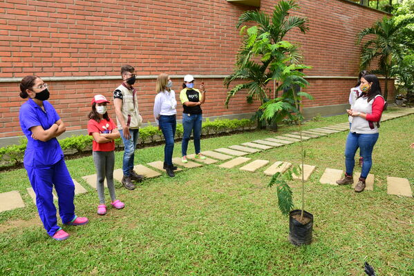 Proceso de Arborización en El Poblado
Proceso de Arborización en El Poblado
Fecha: 30 Julio 2021
Para descargar esta fotografía en alta resolución, haga clic sobre la imagen hasta que la misma se despliegue en la pantalla completa; luego dé clic derecho y elija la opción "guardar imagen como". 
En caso de publicación por cualquier medio, solicitamos acompañarla del crédito: "Foto EPM"
Palabras clave: Proceso de Arborización en El Poblado