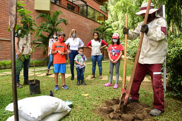 Proceso de Arborización en El Poblado
Proceso de Arborización en El Poblado
Fecha: 30 Julio 2021
Para descargar esta fotografía en alta resolución, haga clic sobre la imagen hasta que la misma se despliegue en la pantalla completa; luego dé clic derecho y elija la opción "guardar imagen como". 
En caso de publicación por cualquier medio, solicitamos acompañarla del crédito: "Foto EPM"
Palabras clave: Proceso de Arborización en El Poblado