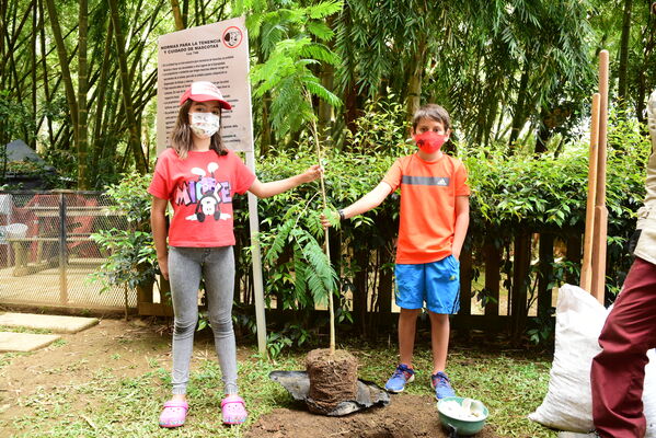 Proceso de Arborización en El Poblado
Proceso de Arborización en El Poblado
Fecha: 30 Julio 2021
Para descargar esta fotografía en alta resolución, haga clic sobre la imagen hasta que la misma se despliegue en la pantalla completa; luego dé clic derecho y elija la opción "guardar imagen como". 
En caso de publicación por cualquier medio, solicitamos acompañarla del crédito: "Foto EPM"
Palabras clave: Proceso de Arborización en El Poblado