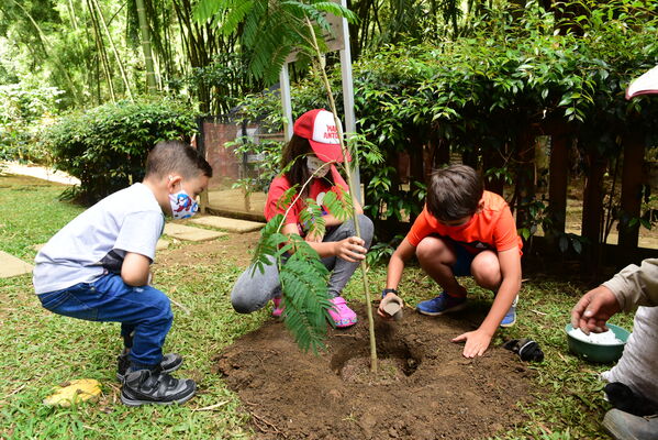 Proceso de Arborización en El Poblado
Palabras clave: Proceso de Arborización en El Poblado