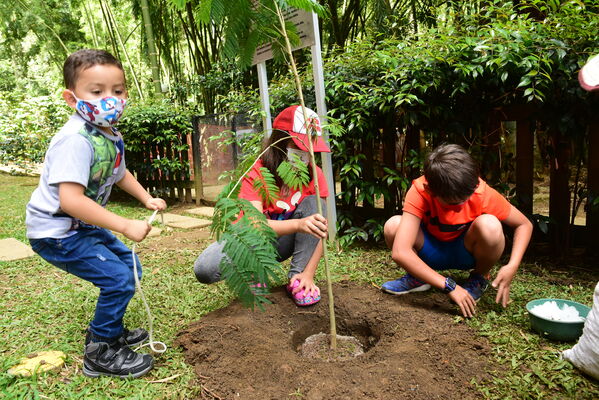 Proceso de Arborización en El Poblado
Proceso de Arborización en El Poblado
Fecha: 30 Julio 2021
Para descargar esta fotografía en alta resolución, haga clic sobre la imagen hasta que la misma se despliegue en la pantalla completa; luego dé clic derecho y elija la opción "guardar imagen como". 
En caso de publicación por cualquier medio, solicitamos acompañarla del crédito: "Foto EPM"
Palabras clave: Proceso de Arborización en El Poblado