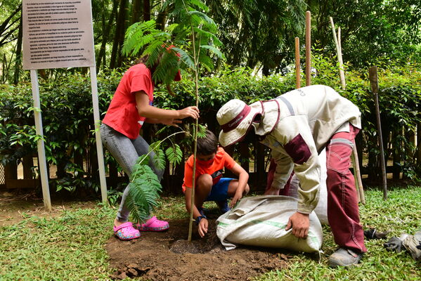 Proceso de Arborización en El Poblado
Proceso de Arborización en El Poblado
Fecha: 30 Julio 2021
Para descargar esta fotografía en alta resolución, haga clic sobre la imagen hasta que la misma se despliegue en la pantalla completa; luego dé clic derecho y elija la opción "guardar imagen como". 
En caso de publicación por cualquier medio, solicitamos acompañarla del crédito: "Foto EPM"
Palabras clave: Proceso de Arborización en El Poblado