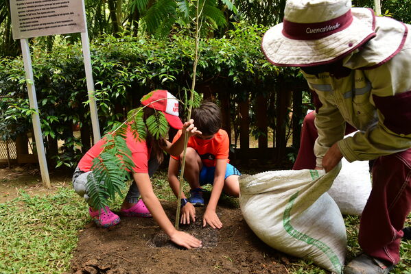 Proceso de Arborización en El Poblado
Proceso de Arborización en El Poblado
Fecha: 30 Julio 2021
Para descargar esta fotografía en alta resolución, haga clic sobre la imagen hasta que la misma se despliegue en la pantalla completa; luego dé clic derecho y elija la opción "guardar imagen como". 
En caso de publicación por cualquier medio, solicitamos acompañarla del crédito: "Foto EPM"
Palabras clave: Proceso de Arborización en El Poblado