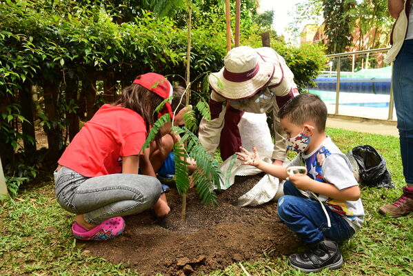 Proceso de Arborización en El Poblado
Proceso de Arborización en El Poblado
Fecha: 30 Julio 2021
Para descargar esta fotografía en alta resolución, haga clic sobre la imagen hasta que la misma se despliegue en la pantalla completa; luego dé clic derecho y elija la opción "guardar imagen como". 
En caso de publicación por cualquier medio, solicitamos acompañarla del crédito: "Foto EPM"
Palabras clave: Proceso de Arborización en El Poblado