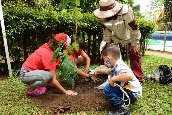 Proceso de Arborización en El Poblado
Proceso de Arborización en El Poblado
Fecha: 30 Julio 2021
Para descargar esta fotografía en alta resolución, haga clic sobre la imagen hasta que la misma se despliegue en la pantalla completa; luego dé clic derecho y elija la opción "guardar imagen como". 
En caso de publicación por cualquier medio, solicitamos acompañarla del crédito: "Foto EPM"
Palabras clave: Proceso de Arborización en El Poblado