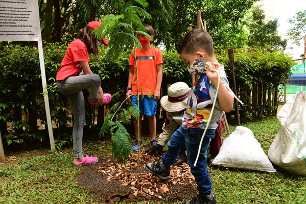 Proceso de Arborización en El Poblado
Proceso de Arborización en El Poblado
Fecha: 30 Julio 2021
Para descargar esta fotografía en alta resolución, haga clic sobre la imagen hasta que la misma se despliegue en la pantalla completa; luego dé clic derecho y elija la opción "guardar imagen como". 
En caso de publicación por cualquier medio, solicitamos acompañarla del crédito: "Foto EPM"
Palabras clave: Proceso de Arborización en El Poblado