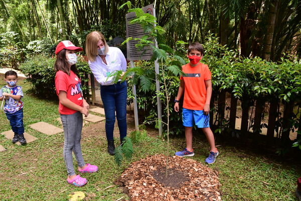 Proceso de Arborización en El Poblado
Proceso de Arborización en El Poblado
Fecha: 30 Julio 2021
Para descargar esta fotografía en alta resolución, haga clic sobre la imagen hasta que la misma se despliegue en la pantalla completa; luego dé clic derecho y elija la opción "guardar imagen como". 
En caso de publicación por cualquier medio, solicitamos acompañarla del crédito: "Foto EPM"
Palabras clave: Proceso de Arborización en El Poblado