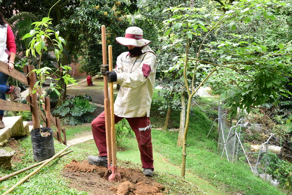 Proceso de Arborización en El Poblado
Proceso de Arborización en El Poblado
Fecha: 30 Julio 2021
Para descargar esta fotografía en alta resolución, haga clic sobre la imagen hasta que la misma se despliegue en la pantalla completa; luego dé clic derecho y elija la opción "guardar imagen como". 
En caso de publicación por cualquier medio, solicitamos acompañarla del crédito: "Foto EPM"
Palabras clave: Proceso de Arborización en El Poblado