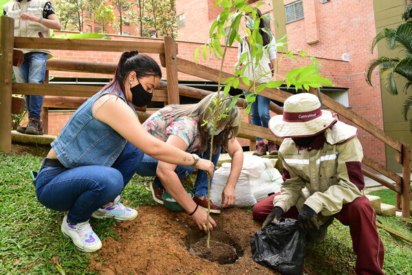 Proceso de Arborización en El Poblado
Proceso de Arborización en El Poblado
Fecha: 30 Julio 2021
Para descargar esta fotografía en alta resolución, haga clic sobre la imagen hasta que la misma se despliegue en la pantalla completa; luego dé clic derecho y elija la opción "guardar imagen como". 
En caso de publicación por cualquier medio, solicitamos acompañarla del crédito: "Foto EPM"
Palabras clave: Proceso de Arborización en El Poblado