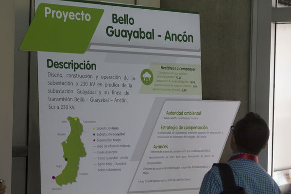 Semana Ambiental 2017
Semana Ambiental 2017
Fecha: Junio 22 de 2017
Para descargar esta fotografía en alta resolución, haga clic sobre la imagen hasta que la misma se despliegue en la pantalla completa; luego dé clic derecho y elija la opción "guardar imagen como". 
En caso de publicación por cualquier medio, solicitamos acompañarla del crédito: "Foto EPM"
Palabras clave: Semana Ambiental 2017