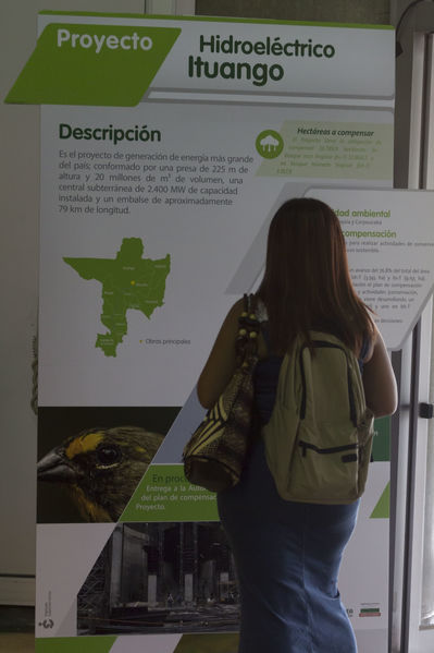Semana Ambiental 2017
Semana Ambiental 2017
Fecha: Junio 22 de 2017
Para descargar esta fotografía en alta resolución, haga clic sobre la imagen hasta que la misma se despliegue en la pantalla completa; luego dé clic derecho y elija la opción "guardar imagen como". 
En caso de publicación por cualquier medio, solicitamos acompañarla del crédito: "Foto EPM"
Palabras clave: Semana Ambiental 2017