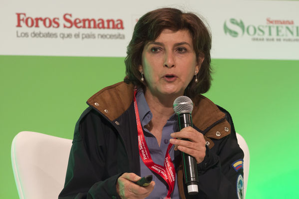 Semana Ambiental 2017
Semana Ambiental 2017
Fecha: Junio 22 de 2017
Para descargar esta fotografía en alta resolución, haga clic sobre la imagen hasta que la misma se despliegue en la pantalla completa; luego dé clic derecho y elija la opción "guardar imagen como". 
En caso de publicación por cualquier medio, solicitamos acompañarla del crédito: "Foto EPM"
Palabras clave: Semana Ambiental 2017