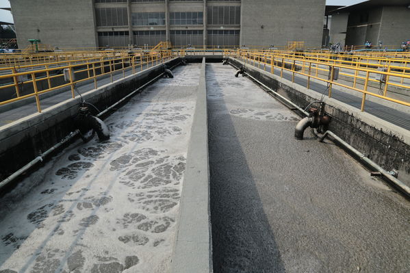 visita recorrido por la planta de tratamiento de aguas residuales San Fernando
visita recorrido por la planta de tratamiento de aguas residuales San Fernando
Marzo 15 2019
Para descargar esta fotografía en alta resolución, haga clic sobre la imagen hasta que la misma se despliegue en la pantalla completa; luego dé clic derecho y elija la opción "guardar imagen como". 
En caso de publicación por cualquier medio, solicitamos acompañarla del crédito: "Foto EPM"
Palabras clave: visita recorrido por la planta de tratamiento de aguas residuales San Fernando