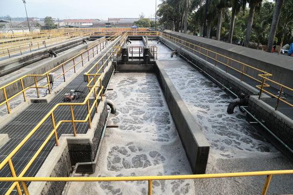 visita recorrido por la planta de tratamiento de aguas residuales San Fernando
visita recorrido por la planta de tratamiento de aguas residuales San Fernando
Marzo 15 2019
Para descargar esta fotografía en alta resolución, haga clic sobre la imagen hasta que la misma se despliegue en la pantalla completa; luego dé clic derecho y elija la opción "guardar imagen como". 
En caso de publicación por cualquier medio, solicitamos acompañarla del crédito: "Foto EPM"
Palabras clave: visita recorrido por la planta de tratamiento de aguas residuales San Fernando