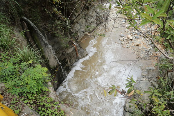 visita recorrido por la planta de tratamiento de aguas residuales San Fernando
visita recorrido por la planta de tratamiento de aguas residuales San Fernando
Marzo 15 2019
Para descargar esta fotografía en alta resolución, haga clic sobre la imagen hasta que la misma se despliegue en la pantalla completa; luego dé clic derecho y elija la opción "guardar imagen como". 
En caso de publicación por cualquier medio, solicitamos acompañarla del crédito: "Foto EPM"
Palabras clave: visita recorrido por la planta de tratamiento de aguas residuales San Fernando