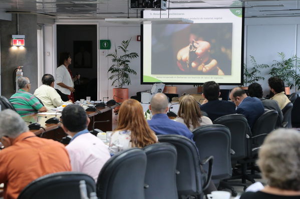 Conversemos sobre antropología  Orobajo  Fortuna Barbacoas
Conversemos sobre antropología en Orobajo, La Fortuna y Barbacoas
Fecha: Marzo 5 de 2018
Para descargar esta fotografía en alta resolución, haga clic sobre la imagen hasta que la misma se despliegue en la pantalla completa; luego dé clic derecho y elija la opción "guardar imagen como". 
En caso de publicación por cualquier medio, solicitamos acompañarla del crédito: "Foto EPM"
Palabras clave: Conversemos sobre antropología  Orobajo  Fortuna Barbacoas