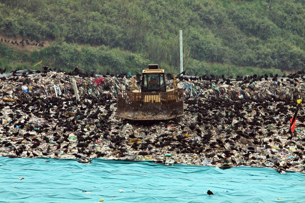 Visita relleno sanitario La Pradera
Visita relleno sanitario La Pradera
Fecha: Marzo 18 de 2014. 
Para descargar esta fotografía en alta resolución, haga clic sobre la imagen hasta que la misma se despliegue en la pantalla completa; luego dé clic derecho y elija la opción "guardar imagen como". 
En caso de publicación por cualquier medio, solicitamos acompañarla del crédito: "Foto EPM"

Palabras clave: Visita relleno sanitario La Pradera