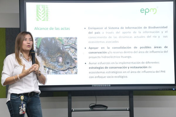Rueda de prensa Protección del Rio Cauca
Rueda de prensa Protección del Rio Cauca
Fecha: Mayo 31 2019
Para descargar esta fotografía en alta resolución, haga clic sobre la imagen hasta que la misma se despliegue en la pantalla completa; luego dé clic derecho y elija la opción "guardar imagen como". 
En caso de publicación por cualquier medio, solicitamos acompañarla del crédito: "Foto EPM"
Palabras clave: Rueda de prensa Protección del Rio Cauca