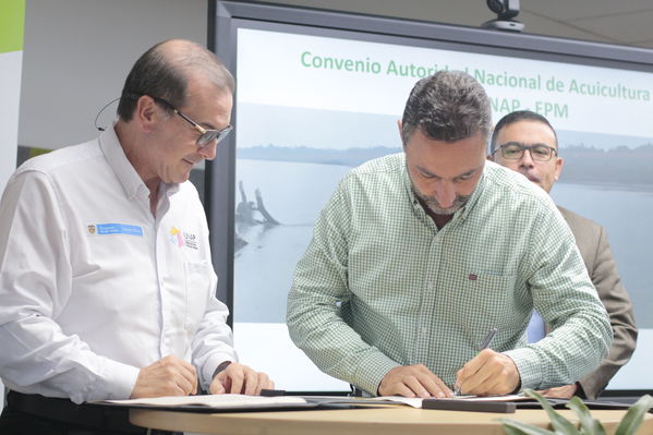 Rueda de Prensa firma de convenio para recuperación de cuenca media y baja rio Cauca 
Rueda de Prensa firma de convenio para recuperación de cuenca media y baja rio Cauca 
marzo 28 2019 Firma de convenio para recuperación de cuenca media y baja rio Cauca 
Para descargar esta fotografía en alta resolución, haga clic sobre la imagen hasta que la misma se despliegue en la pantalla completa; luego dé clic derecho y elija la opción "guardar imagen como". 
En caso de publicación por cualquier medio, solicitamos acompañarla del crédito: "Foto EPM
Palabras clave: Rueda de Prensa firma de convenio para recuperación de cuenca media y baja rio Cauca