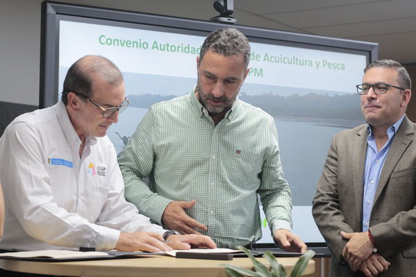Rueda de Prensa firma de convenio para recuperación de cuenca media y baja rio Cauca 
Rueda de Prensa firma de convenio para recuperación de cuenca media y baja rio Cauca 
marzo 28 2019 Firma de convenio para recuperación de cuenca media y baja rio Cauca 
Para descargar esta fotografía en alta resolución, haga clic sobre la imagen hasta que la misma se despliegue en la pantalla completa; luego dé clic derecho y elija la opción "guardar imagen como". 
En caso de publicación por cualquier medio, solicitamos acompañarla del crédito: "Foto EPM
Palabras clave: Rueda de Prensa firma de convenio para recuperación de cuenca media y baja rio Cauca