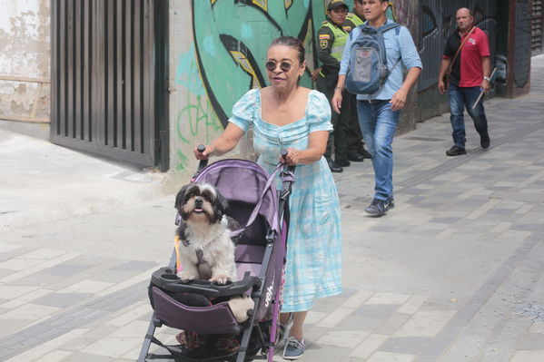 Rueda prensa centro parrilla 
Rueda prensa centro parrilla  
Fecha: Mayo 7 2019. 
Para descargar esta fotografía en alta resolución, haga clic sobre la imagen hasta que la misma se despliegue en la pantalla completa; luego dé clic derecho y elija la opción "guardar imagen como". 
En caso de publicación por cualquier medio, solicitamos acompañarla del crédito: "Foto EPM"
Palabras clave: Rueda prensa centro parrilla