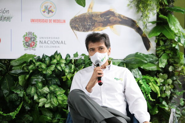 Nuevas especies halladas Río Cauca
Nuevas especies halladas Río Cauca
Fecha: 11 Noviembre 2020.
Para descargar esta fotografía en alta resolución, haga clic sobre la imagen hasta que la misma se despliegue en la pantalla completa; luego dé clic derecho y elija la opción "guardar imagen como". 
En caso de publicación por cualquier medio, solicitamos acompañarla del crédito: "Foto EPM"
Palabras clave: Nuevas especies halladas Río Cauca